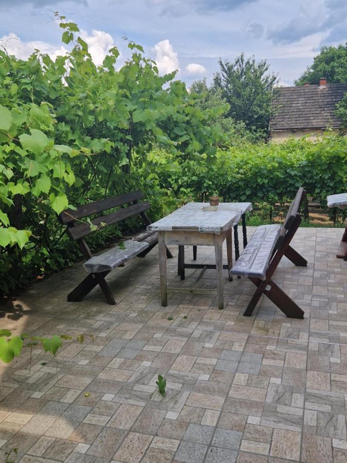 Berger Pince-vendégház, Hajósi pincék Exterior foto